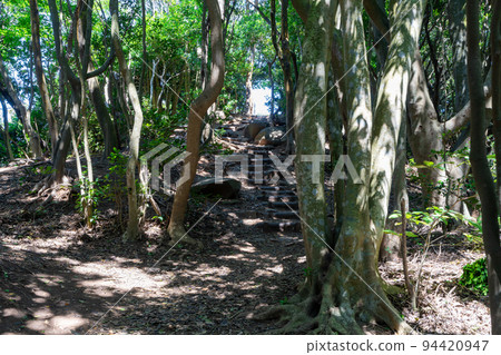 《福岡縣》玄界國定公園 糸島龍貓之森 糸島市志摩屋屋 《福岡縣》玄界國定公園 糸島龍貓之森 糸島市志摩屋屋 94420947