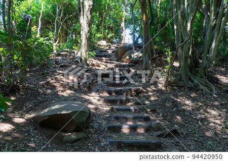 《福岡縣》玄界國定公園 糸島龍貓之森 糸島市志摩屋屋 94420950