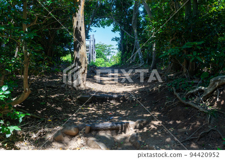 《Fukuoka Prefecture》Genkai Quasi-National Park Itoshima Totoro Forest Itoshima City Shima Keya 94420952