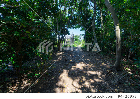 《Fukuoka Prefecture》Genkai Quasi-National Park Itoshima Totoro Forest Itoshima City Shima Keya 《Fukuoka Prefecture》Genkai Quasi-National Park Itoshima Totoro Forest Itoshima City Shima Keya 94420955