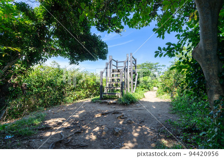 《Fukuoka Prefecture》Genkai Quasi-National Park Itoshima Totoro Forest Itoshima City Shima Keya 94420956