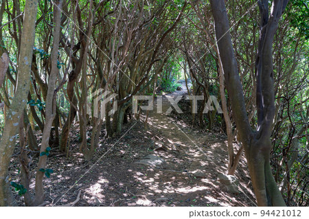 《福岡縣》玄界國定公園 糸島龍貓之森 糸島市志摩屋屋 94421012