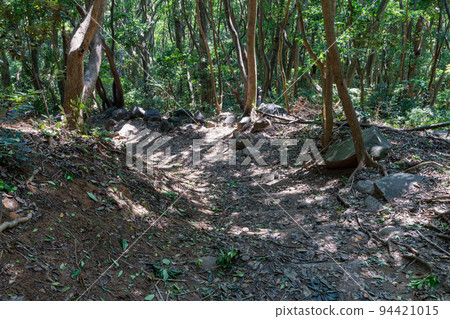 《福岡縣》玄界國定公園 糸島龍貓之森 糸島市志摩屋屋 94421015