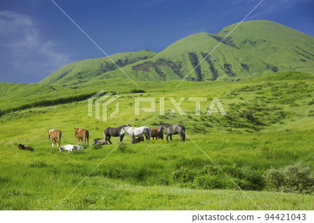 Mt. Aso Ojo and grazing 94421043