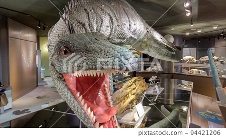 滄龍【北海道向川町】 94421206