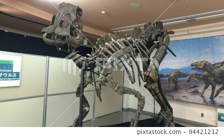 神龍新屬新種[北海道武川町] 94421212