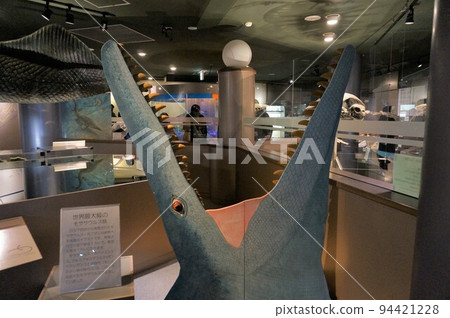 Mosasaurus model [Hokkaido Mukawa Town] 94421228