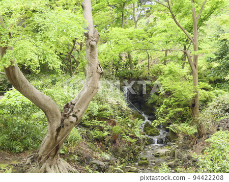 Sankeien Garden 94422208