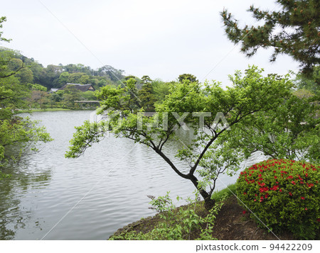 Sankeien Garden 94422209