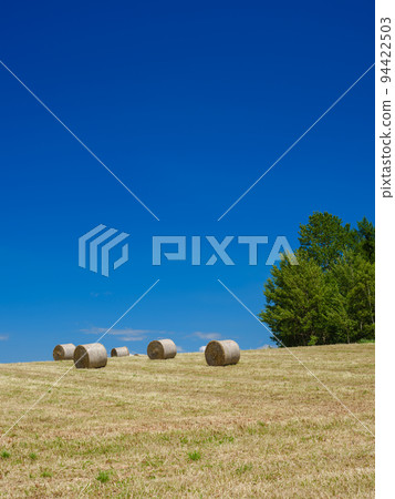 Hokkaido_Biei landscape with barley grass rolls 94422503