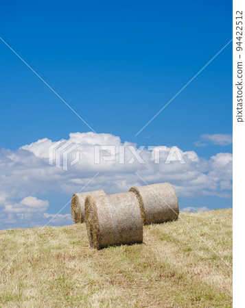 Hokkaido_Biei landscape with barley grass rolls 94422512