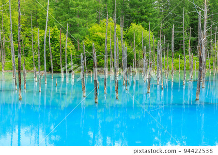 Biei, Hokkaido _ Superb view of Blue Pond 94422538
