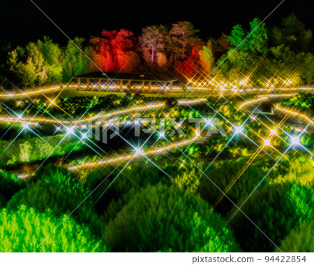 Kochia lit up at Sanuki Mannou National Government Park Kochia lit up at Sanuki Mannou National Government Park 94422854