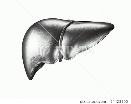 Metal liver 3d illustration 94423500