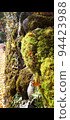 Scenery of moss on rock surface 94423988