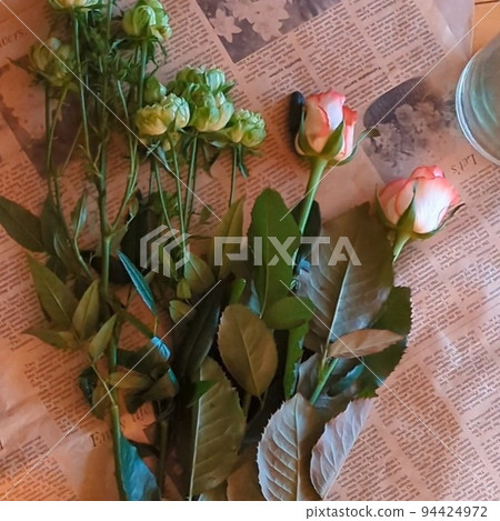 美麗的花 美麗的花 94424972