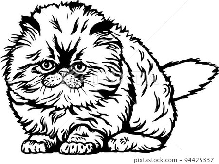 British Shorthair Cat, Cute Kitten - Funny Cat isolated on white - vector stock British Shorthair Cat, Cute Kitten - Funny Cat isolated on white - vector stock 94425337