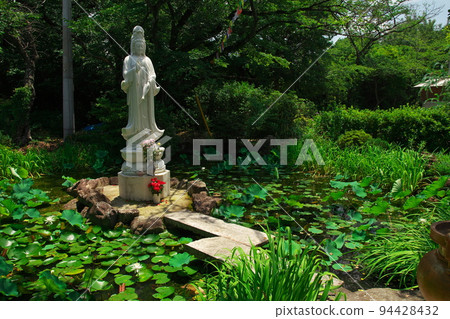 Water lily flowers and Kannon statue blooming at Mt. Aioi Tokurinji in early summer 94428432