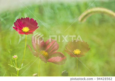 一個充滿夢想的世界 一個充滿夢想的世界 94428562