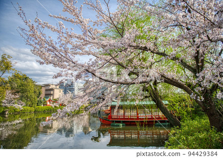 Kyoto Shinsenen Spring 2022 94429384
