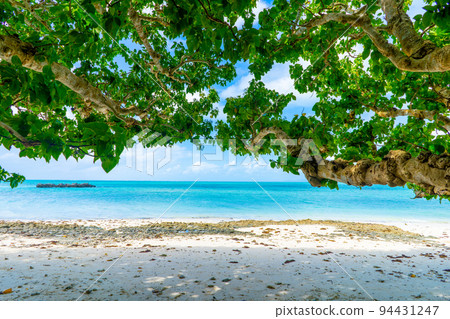 沖繩縣竹富島星砂海灘（海地海灘）的景色 94431247