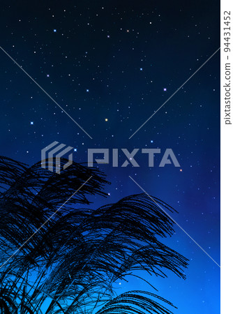 The sky full of stars and pampas grass, autumn silhouette art The sky full of stars and pampas grass, autumn silhouette art 94431452