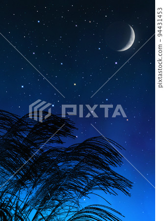 A swaying silhouette of pampas grass against the background of the starry sky and the crescent moon 94431453