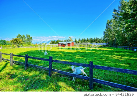 Domaine Raison (Winery in Nakafurano, Hokkaido) 94431659