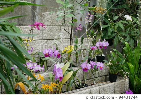 各種花 94431744
