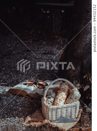 Fresh waxy corn or Sweet glutinous corn in Wicker basket with book and sunglasses under the tree. 94432152