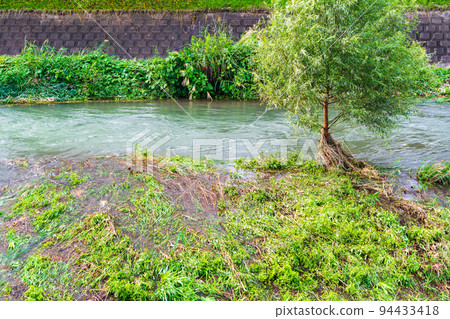 Scenery of the next morning when the water level increased due to the typhoon Scenery of the next morning when the water level increased due to the typhoon 94433418