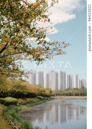 Autumn scenery of lake and apartment buildings at Hwarang Recreation Area park in Ansan, Korea Autumn scenery of lake and apartment buildings at Hwarang Recreation Area park in Ansan, Korea 94433921