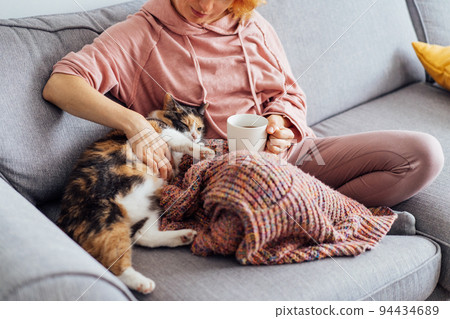 Close-up woman in a plaid drinking hot tea, petting a relaxed cat on the sofa at home. Cozy and comfortable winter or autumn weekends. Pleasant ways to keep warm. Take a break and relax 94434689