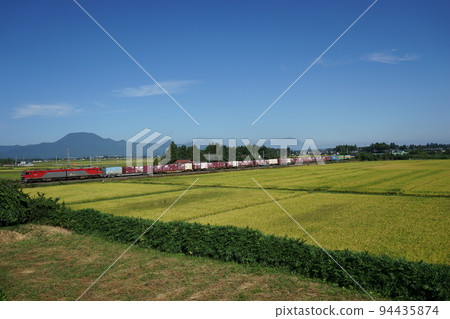 Tohoku Main Line running through paddy fields Tohoku Main Line running through paddy fields 94435874