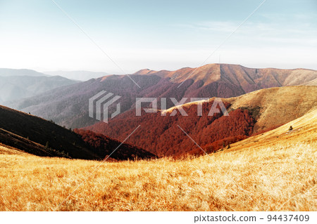 Picturesque autumn mountains with red beech forest Picturesque autumn mountains with red beech forest 94437409