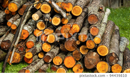 Pile of timber, felled trees. Stacked in a pile Pile of timber, felled trees. Stacked in a pile 94439810