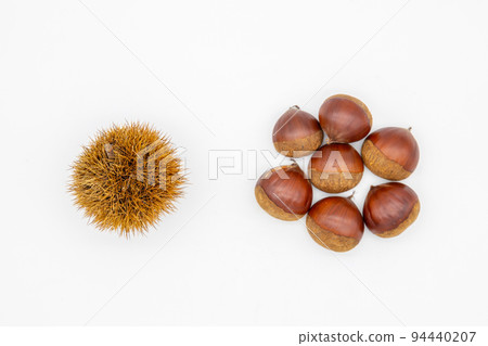 井栗和栗子　　 94440207