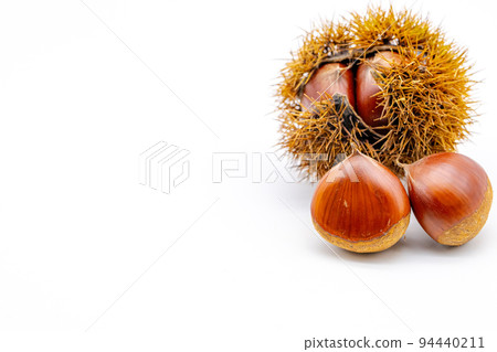 井栗和栗子　　 94440211