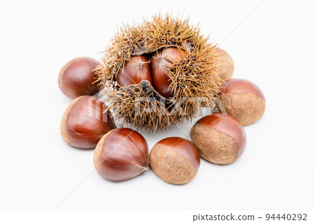 井栗和栗子　　 94440292