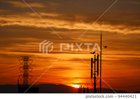 A blazing sunset, steel towers, crows and the sky, everyday scenery 94440421