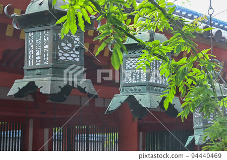 [Nara] Nara Park, full of highlights such as deer, Todai-ji Temple, and illumination Nara Tourism 94440469