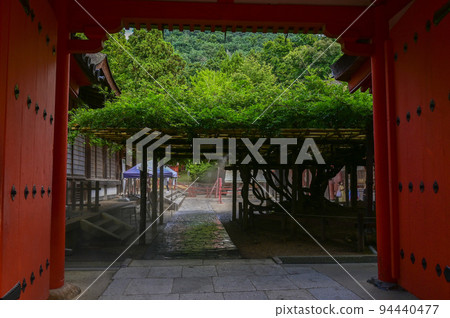 [Nara] Nara Park, full of highlights such as deer, Todai-ji Temple, and illumination Nara Tourism 94440477