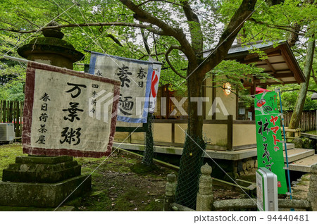 [Nara] Nara Park, full of highlights such as deer, Todai-ji Temple, and illumination Nara Tourism 94440481