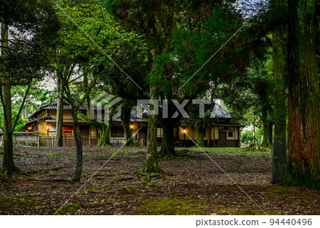 [Nara] Nara Park, full of highlights such as deer, Todai-ji Temple, and illumination Nara Tourism 94440496