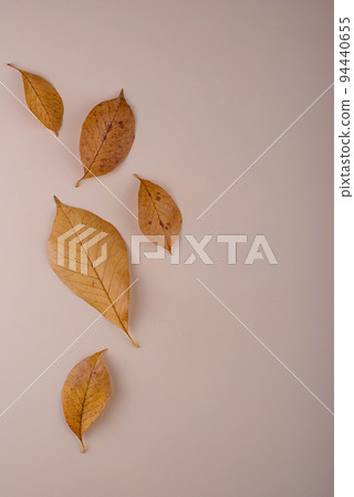Autumn background with dry leaves. Autumn background with dry leaves. 94440655