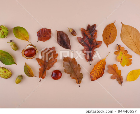 Autumn background with dry leaves. Autumn background with dry leaves. 94440657