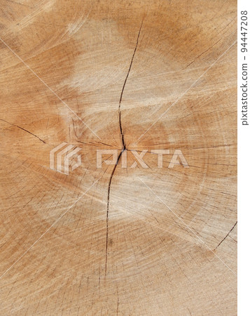 Close-up of a cross section of a tree stump showing aging circles Close-up of a cross section of a tree stump showing aging circles 94447208