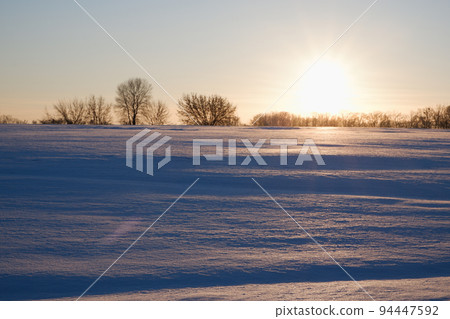 Winter sunset. Landscape, snow-covered field in the rays of sunset with frozen trees on the horizon in backlight. 94447592