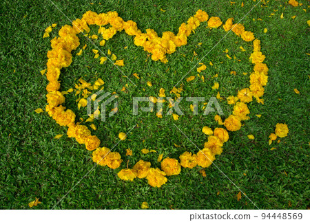 The leaf of golden trumpet tree arrange in the heart shape. The leaf of golden trumpet tree arrange in the heart shape. 94448569