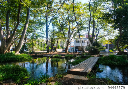 靜岡縣三島市白瀧公園 靜岡縣三島市白瀧公園 94448579
